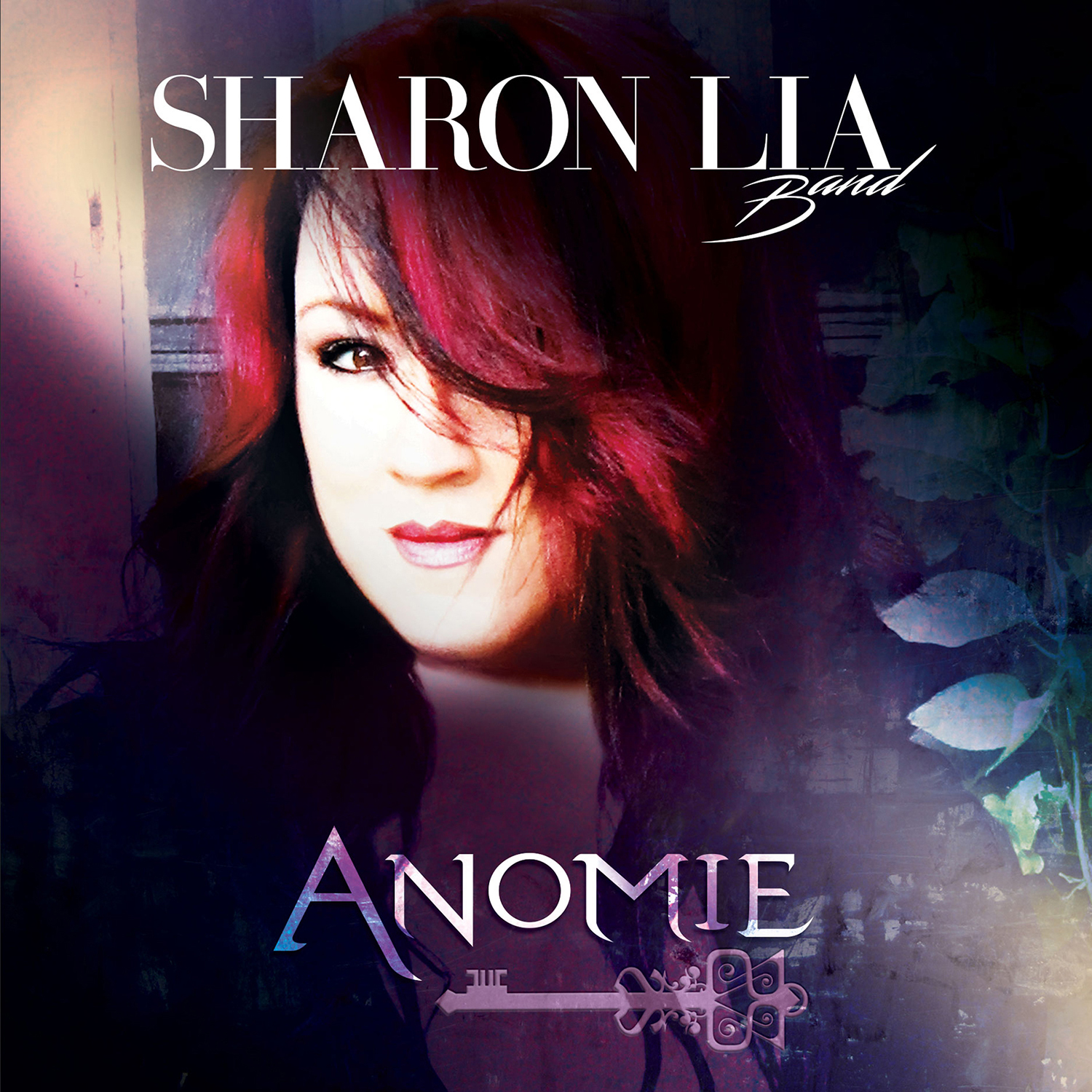 SLB-anomie-cover